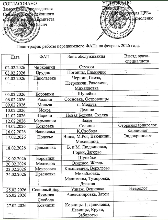 314143134февральфап