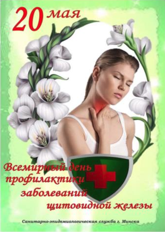 щитжелеза