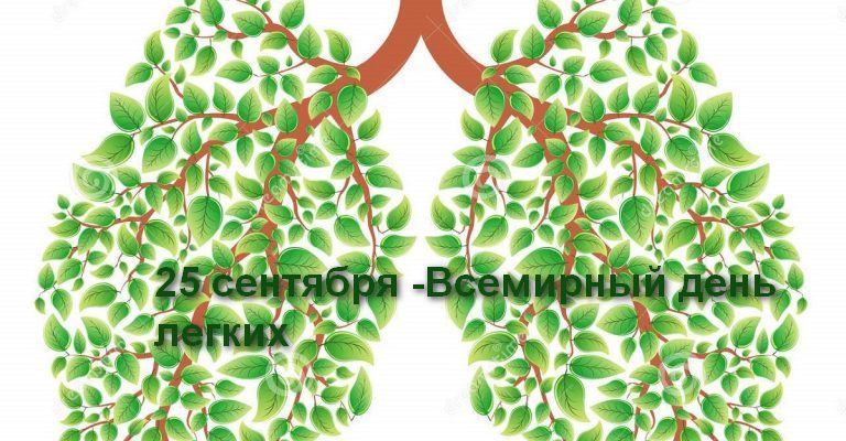 з оровые егкя 47500795 768x400